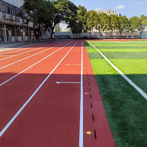 广州蟠龙小学塑胶跑道
